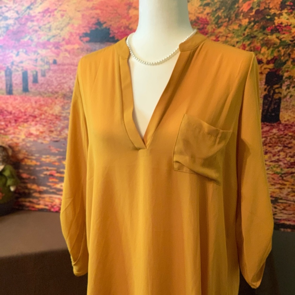 Lush NWT size M